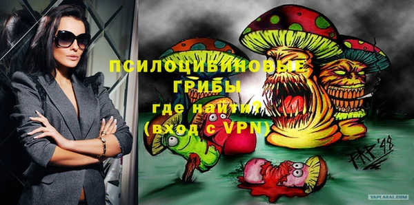 ГАЛЛЮЦИНОГЕННЫЕ ГРИБЫ Абаза