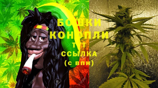ГАЛЛЮЦИНОГЕННЫЕ ГРИБЫ Абаза